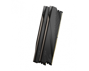 RAM desktop GIGABYTE GP-ARS32G52D5 (2 x 16GB) DDR5 5200MHz (GP-ARS32G52D5)